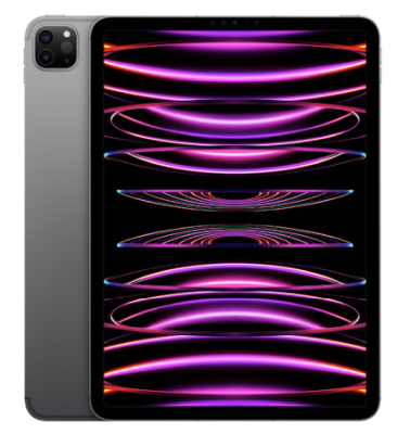 Apple iPad Pro 11-tum (2022) Wi-Fi + Cellular 1 TB - Rymdgrå#1