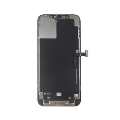 Apple iPhone 12 Pro Max Skärm Oem incell / Inkl. Montering#2